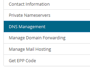 DNS Service
